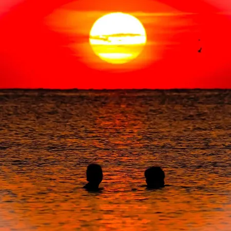 La Mare * Navodari