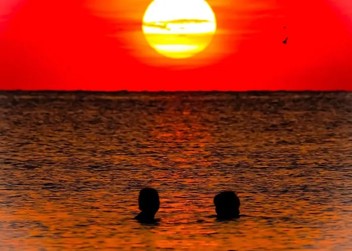 La Mare * Нэводари